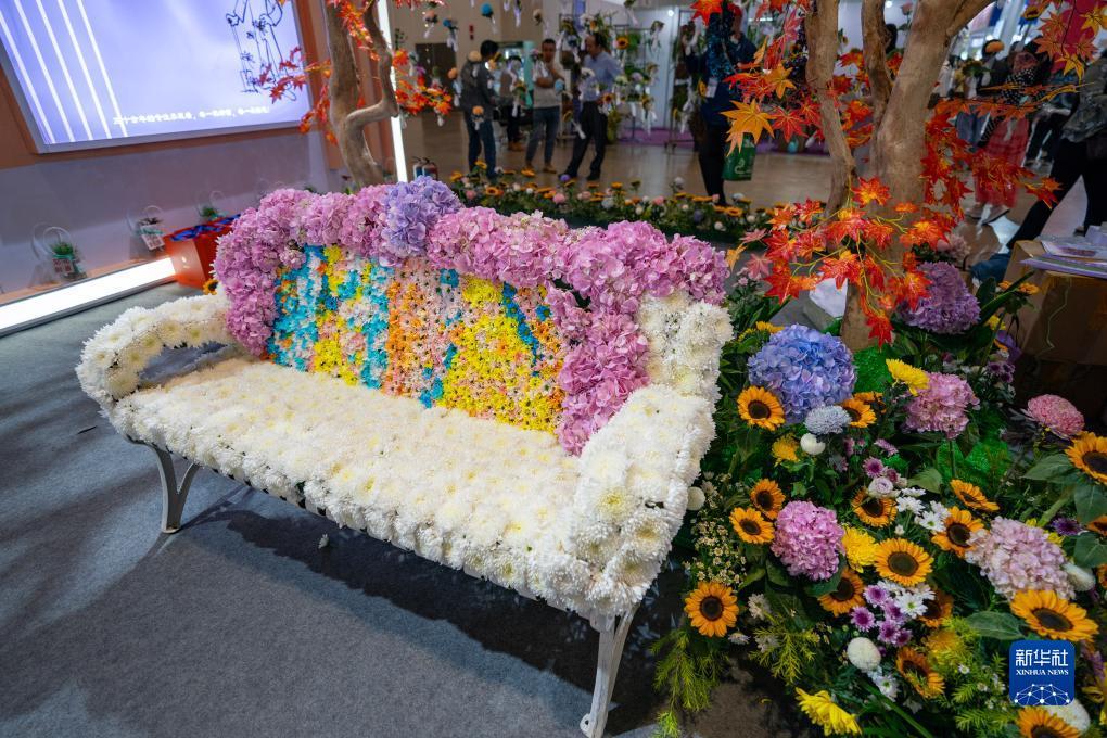 百乐彩120路